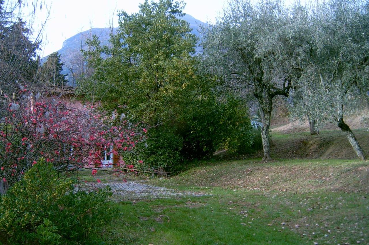 Casa Oliveto Villa Camaiore Kültér fotó