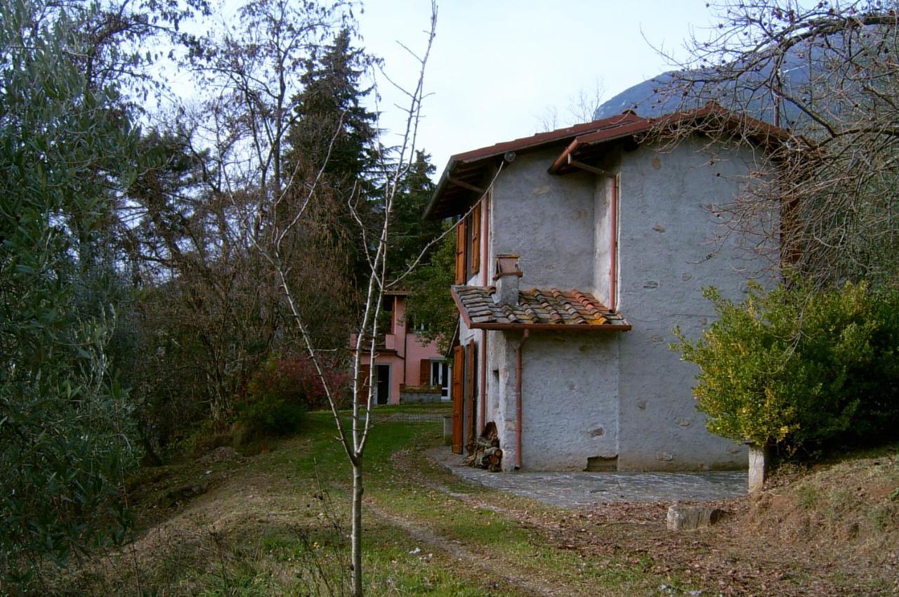 Casa Oliveto Villa Camaiore Kültér fotó