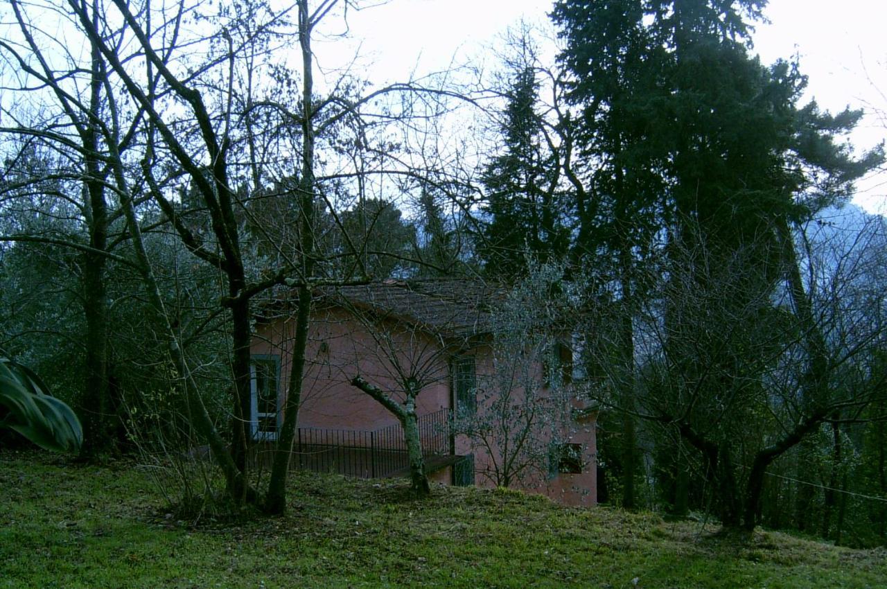 Casa Oliveto Villa Camaiore Kültér fotó